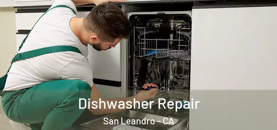  Dishwasher Repair San Leandro - CA