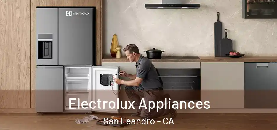 Electrolux Appliances San Leandro - CA
