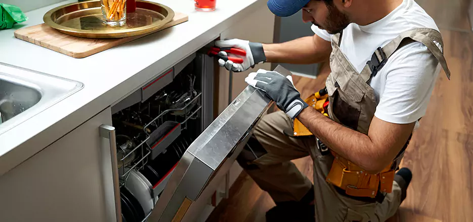 Same Day Dishwasher Not Draining Repair in San Leandro