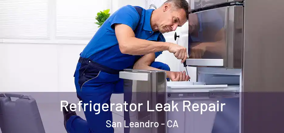 Refrigerator Leak Repair San Leandro - CA