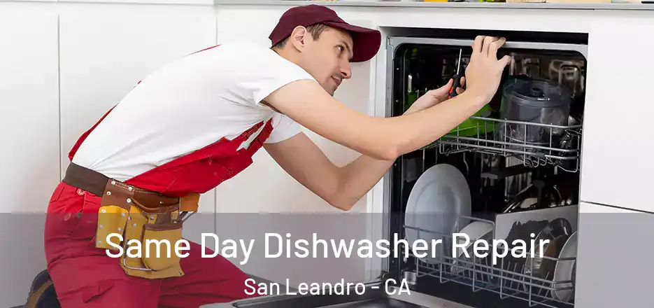  Same Day Dishwasher Repair San Leandro - CA