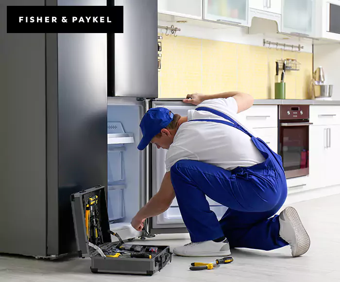 Top-Rated Fisher & Paykel Appliance Experts: Your Brand Specialist in San Leandro, CA