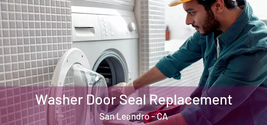  Washer Door Seal Replacement San Leandro - CA